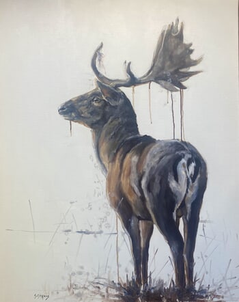 Daim par Géraldine Morales