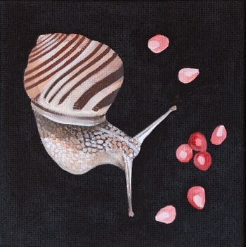 Cepaea hortensis by Sarah Goldbart