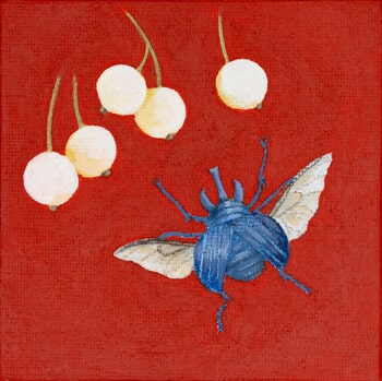 Chalcosoma atlas by Sarah Goldbart