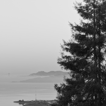 Japonisme (Golden Gate Study) by Geoffrey Ansel Agrons