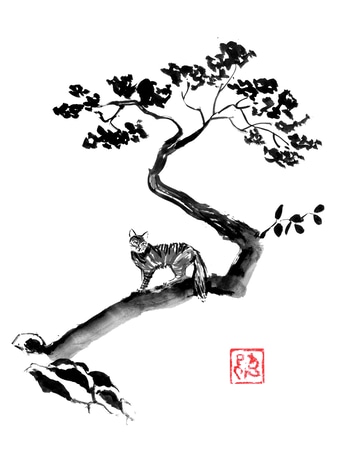 Wild cat in the tree by Péchane