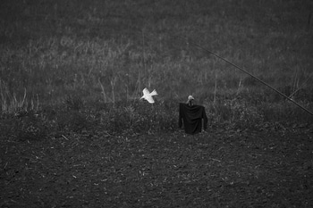 Drive Them Away by Geoffrey Ansel Agrons