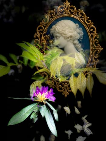 Cameo Role- Scene 2 by Victoria Horkan