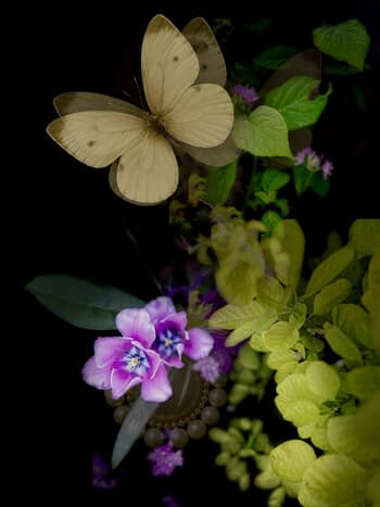 Alice's Little Day Dream Day by Victoria Horkan