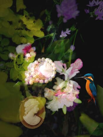 Alice's Little Pill Box Noir by Victoria Horkan