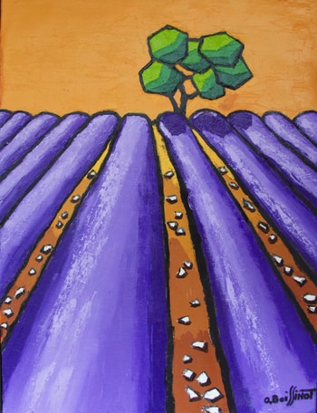 Lavandes en Provence by Olivier Boissinot
