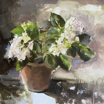 Hortensia blanc en pot von Géraldine Morales