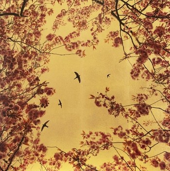 Prunus Arboris IV by Robert Pereira Hind