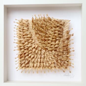 Ailante by Ana Montoya