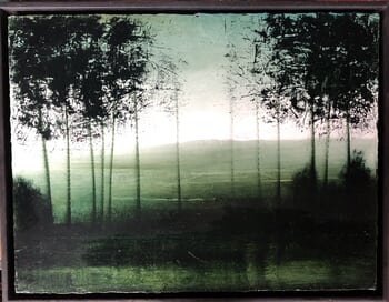 Promenade avec lise...hier N°28 (L'herbe verte) by Eric Herrmann