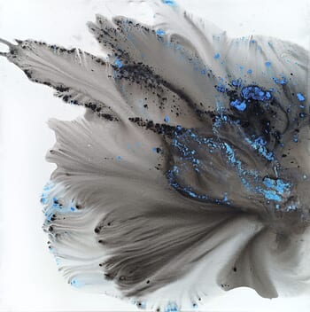 Nature 450 von Muriel Napoli