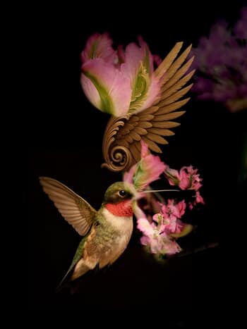 Romances and Tulip Dances by Victoria Horkan