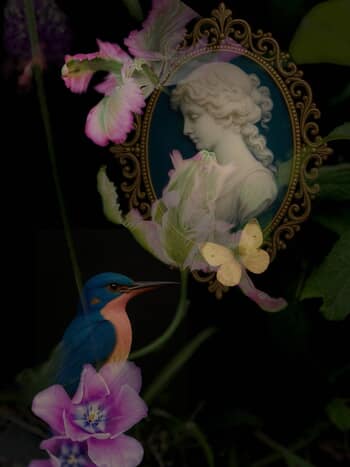 Enchanted Dear Miss. Darcy by Victoria Horkan