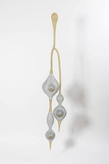 Obéole von Delphine Grandvaux