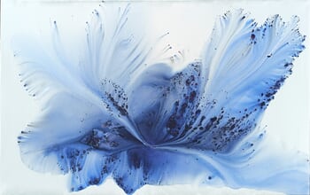 Nature 347 von Muriel Napoli