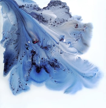 Nature 343 von Muriel Napoli