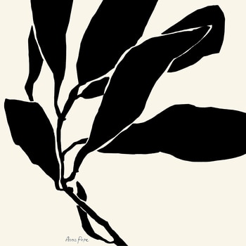 Leaves 04 von Anna Pepe