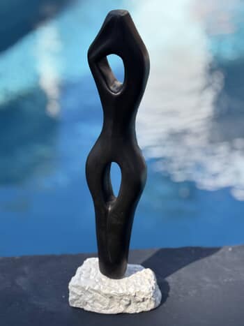 Evanescence by Didier Ferré