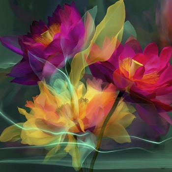 FLORAL MELI MELO 4 by HOLLY WATT