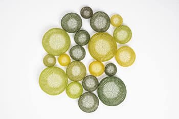 Pollen von Delphine Grandvaux