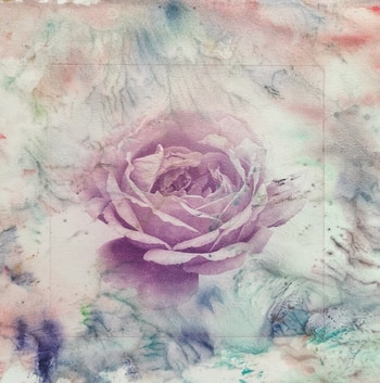 Flagrance  by Yu Zhao