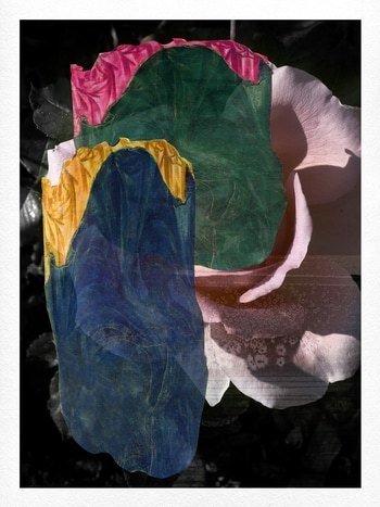 Hana von Jérôme Pergolesi