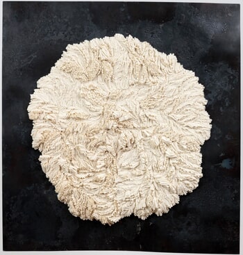 Volcanique by Virginie Bécourt