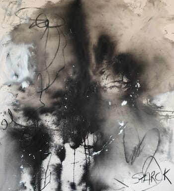 Black Swan von Emily Starck