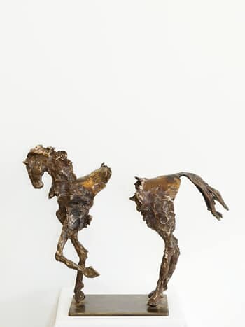 Cheval destructuré par Adeline Weber Guibal