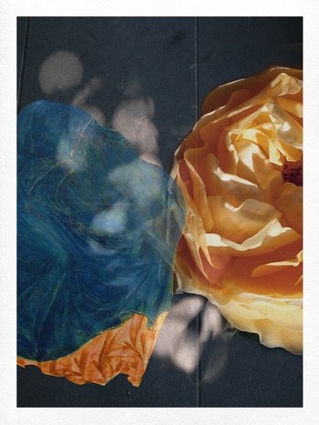 Ivo von Jérôme Pergolesi