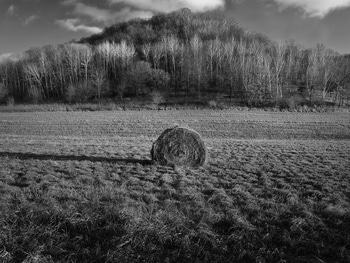 Successful Hills Redux by Geoffrey Ansel Agrons