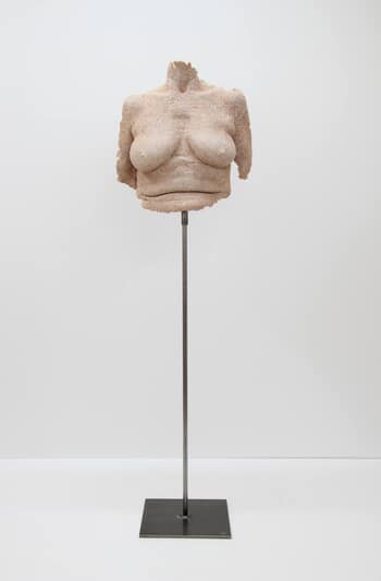 embrace yourself by Sandra Brugger