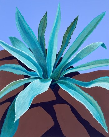Century Plant on the Rocks by Michael Pfleghaar