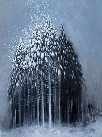 Nuit d'hiver by Vincent Ganaye