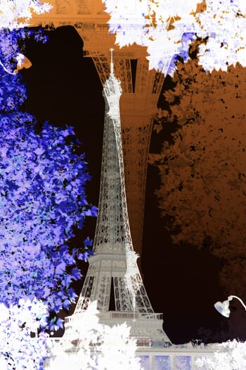 Paris Mon Amour - Floraison de Nuit - Tour Eiffel - limited edition  by Bruno Houdayer