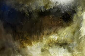 Jungle par Julia Swaby