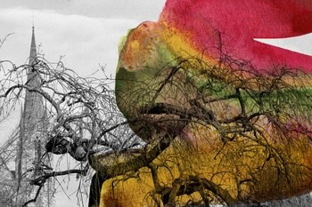 Diomede von Jérôme Pergolesi