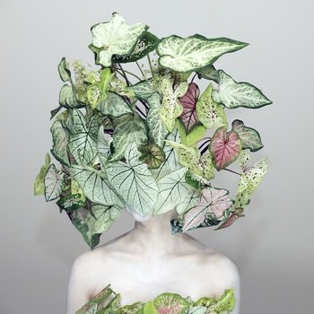 Scent of Austin 07082025 by ZIESOOK YOU