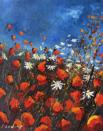 Red poppies  par Pol Ledent