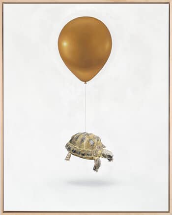 Zoltan II by Joshua Daniels