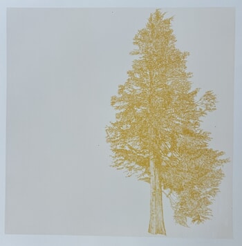 Tree to the Right, Mustard Yellow  by Clare Halifax