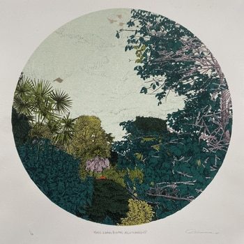 More Leaves Please  by Clare Halifax