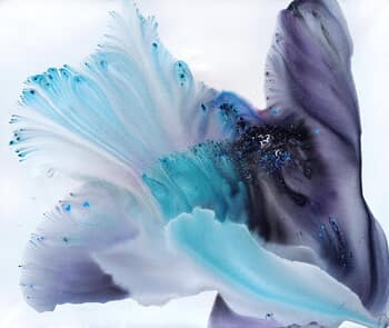 Nature 478 by Muriel Napoli