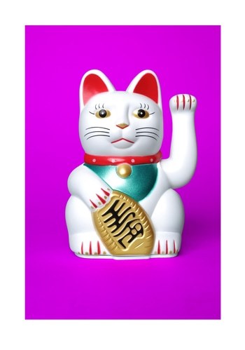 Fuchsia Lucky Cat by Ian Hoskin