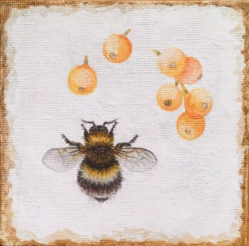 Bombus I by Sarah Goldbart