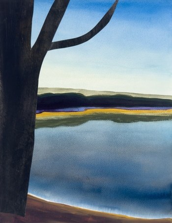 Lake Collage by Michael Pfleghaar