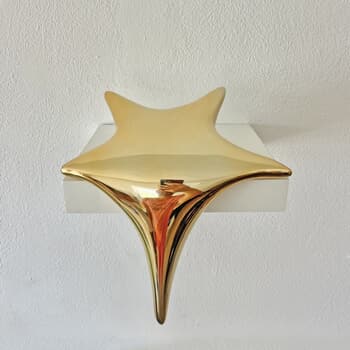 A Shooting Star by Yoni Alter