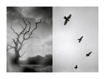 Experimental Farm 02 par Mark Tamer