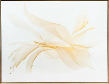 Nothing else matters par Nikolaos Schizas