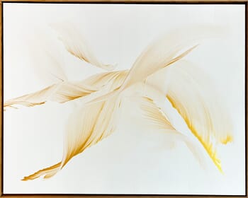 All that glitter is not gold par Nikolaos Schizas